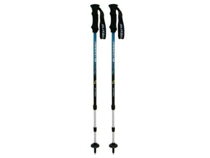 Blizzard Carbon Pro Shock
