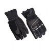 BLIZZARD Competition ski gloves, black/silver